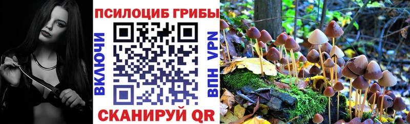Купить где  Богородск  Псилоцибиновые грибы Cubensis 
